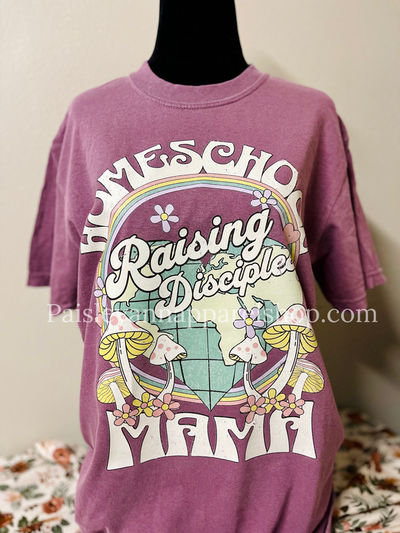 Homeschool mama raising disciples