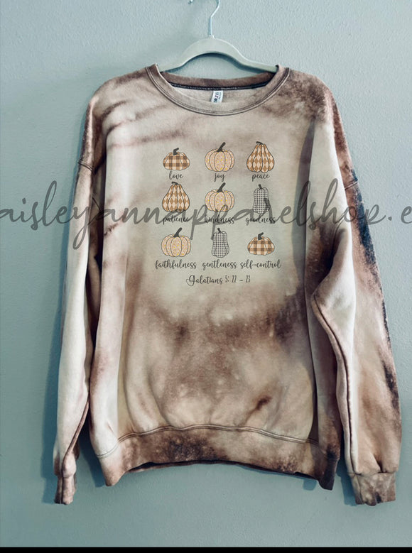 Fruits of the spirit pumpkin sweatshirt