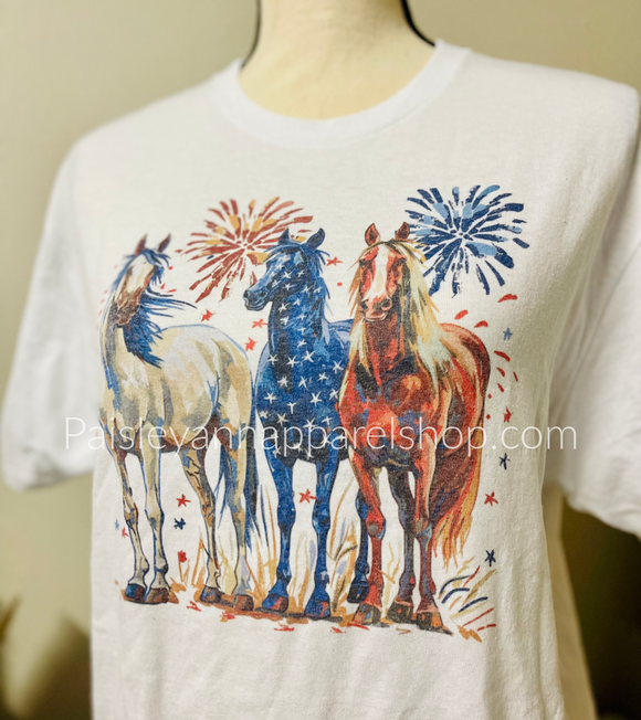Horses American flag 4th of July fireworks