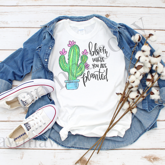 Bloom where you are planted