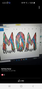 Mom-Blessed and stressed